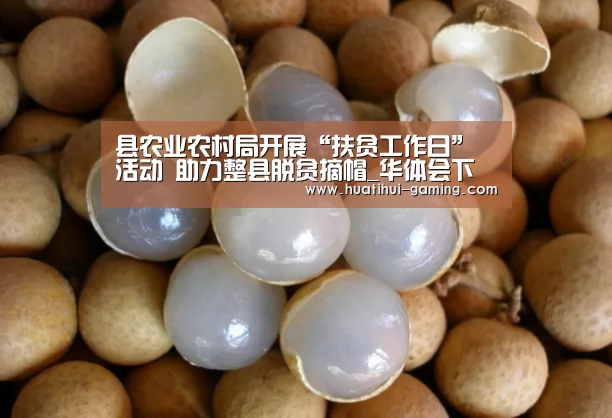 华体会导航